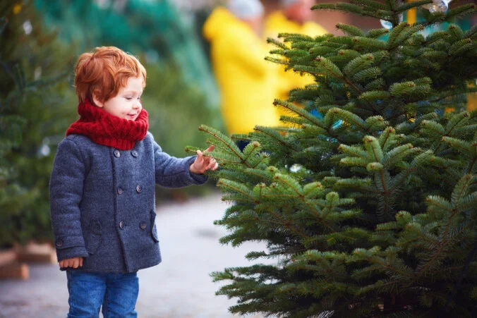 Weihnachtsbäume kaufen Weihnachtsbäume kaufen